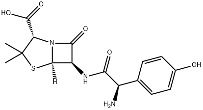 Amoxicilline
