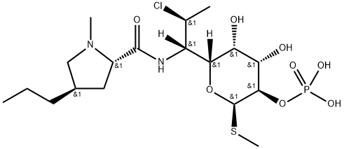 Phosphate de clindamycine